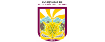 Municipalidad de Villa María del Triunfo