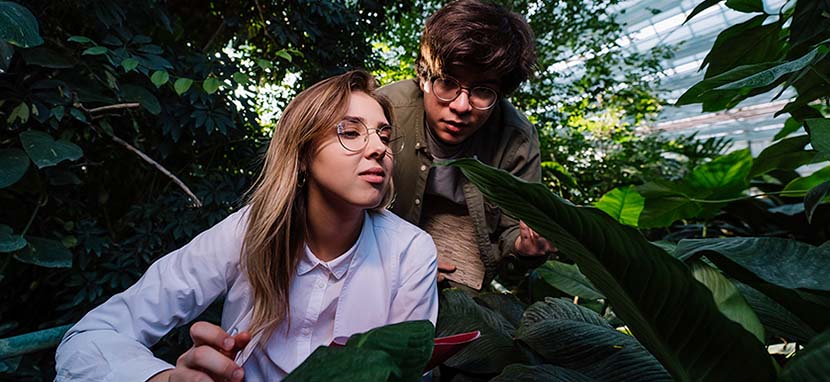 area laboral ingeniero forestal