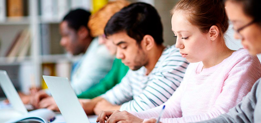 jovenes juntos estudiando especializacion negocios