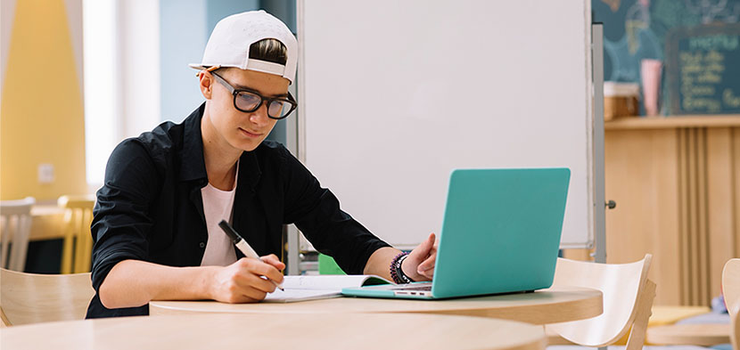 incluir conocimientos excel ingenieria software