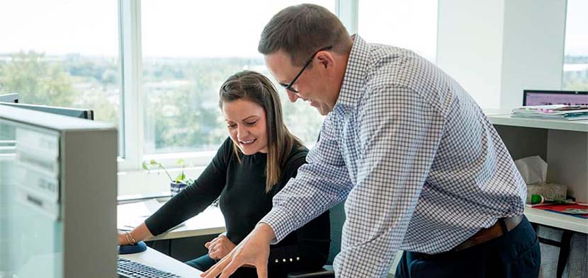 ingeniero software seguridad