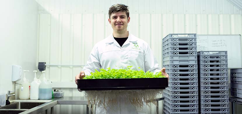 principios ingenieria ambiental