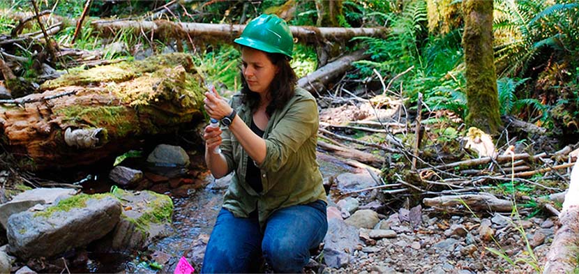 puesto trabajo ingeniero ambiental