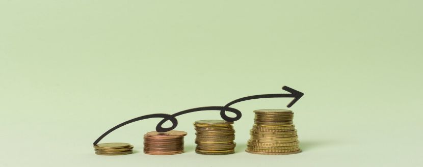 estabilidad macroeconomica