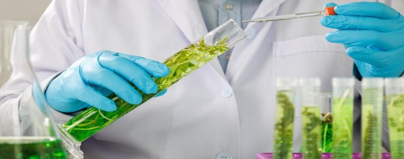 que es quimica ambiental