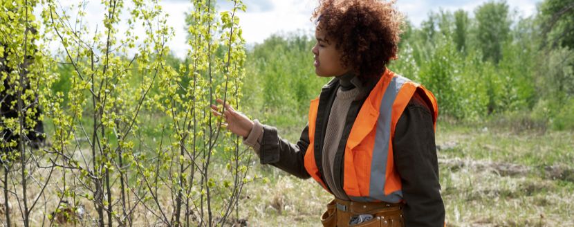 estudiar Ingeniería Ambiental