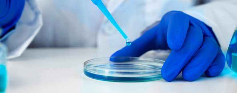 qué hace un ingeniero biomédico