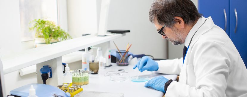 quimico farmaceutico