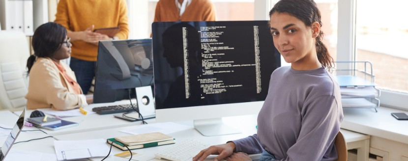 perfil profesional frontend backend